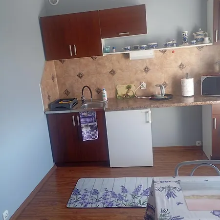 منزل للإقامة Goscinne Surfinia غدانسك