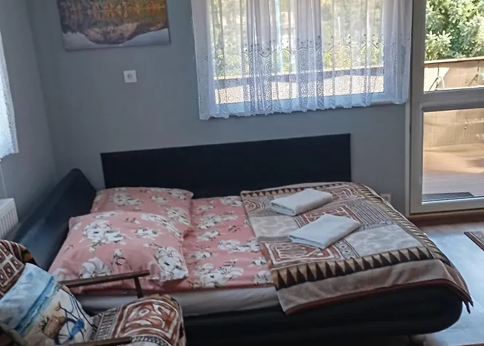 民宿 Goscinne Surfinia *