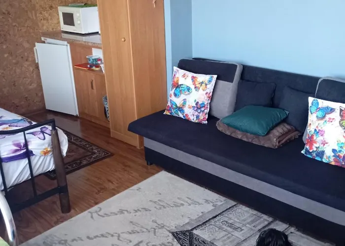 Goscinne Surfinia 民宿 格但斯克