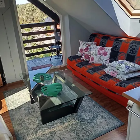 Goscinne Surfinia Gdansk