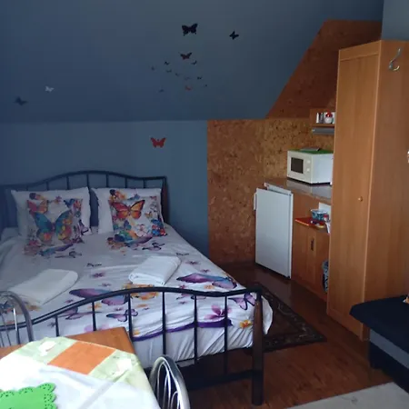 Goscinne Surfinia Homestay *