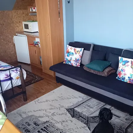 Goscinne Surfinia Homestay Gdansk